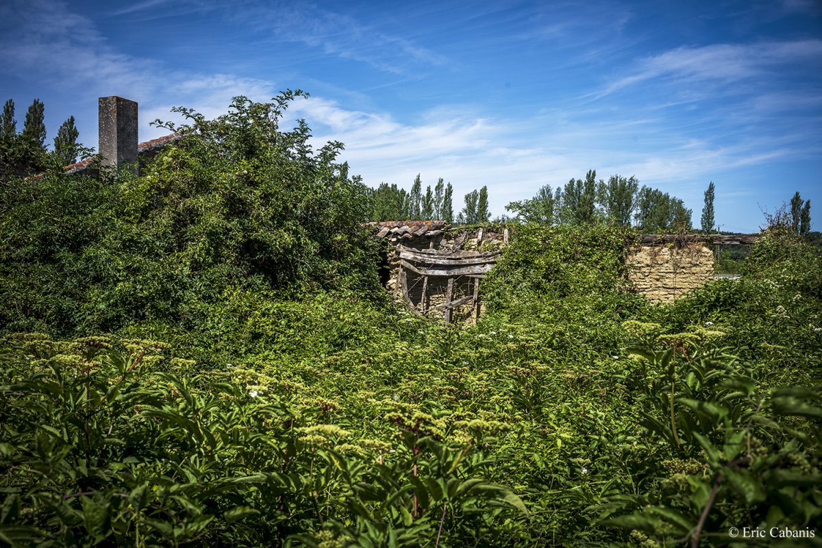Ferme abandonnée près de Villefranche de Lauragais le 25 juillet 2020 Abandoned farm near Villefranche de Lauragais, southern France, on July 25, 2020 Eric Cabanis Photojournalist