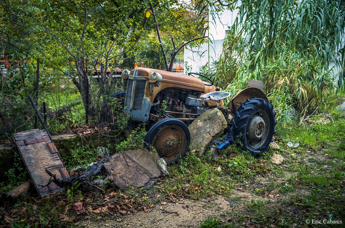 Aragon near Carcassonne, October 6, 2020 The legendary TE 20 Massey Ferguson tractor, nicknamed in France the "Little Grey", launched in 1946 and symbol of the Marshall Plan and the arrival of mechanization in the French countryside. More than half a million have been built and some are still in operation Eric Cabanis Photography