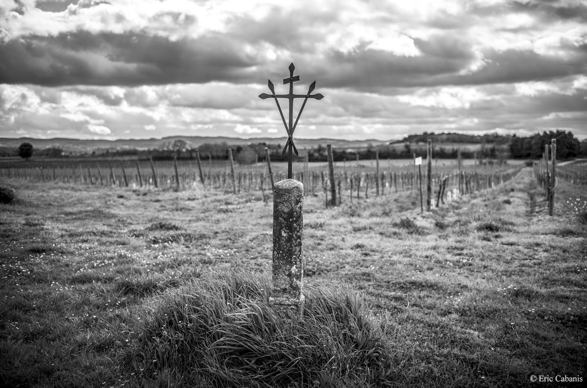 Vignes près de Arzens, Aude, 12 mars 2021 Eric Cabanis Photographer
