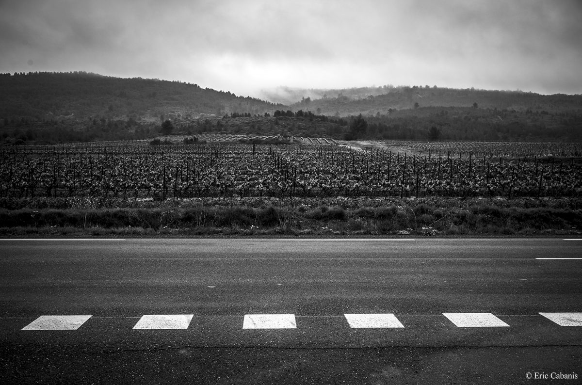 Dans le Minervois sur la route entre Carcassonne et Béziers, 10 avril 2021 Eric Cabanis Photographe