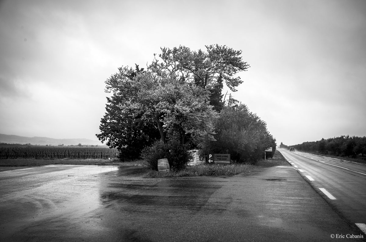 n the road between Carcassonne and Béziers in the Minervois region Eric Cabanis photographer